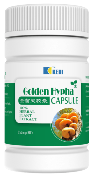 Kedi Golden Hypha in Nigeria